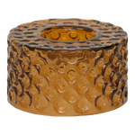 Kultaoranssi kynttilänjalka belo (kaupunkiluonto)