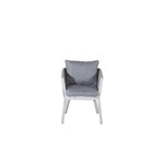 Dining chair (virya)