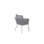 Dining chair (virya)