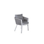 Dining chair (virya)