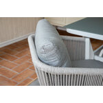 Dining chair (virya)