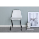 Dining chair (arctic)