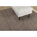 Carpet (betina)