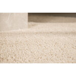 Carpet (walter)