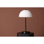 Table lamp (ferrand)