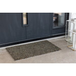 Door mat (lionel)