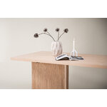 Dining table (bassholmen)