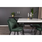 Rectangular dining set (estelle, velvet)