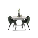 Rectangular dining set (estelle, velvet)