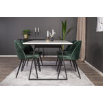 Rectangular dining set (estelle, velvet)