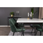 Rectangular dining set (estelle, velvet)