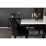 Rectangular dining set (estelle, velvet)