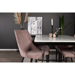 Rectangular dining set (estelle, leone)