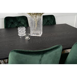 Rectangular dining set (dip, velvet deluxe)