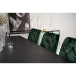 Rectangular dining set (dip, velvet deluxe)