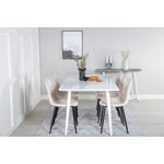 Rectangular dining set (polar, polar)