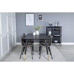 Rectangular dining set (dip, arctic)