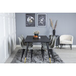 Rectangular dining set (dip, polar)