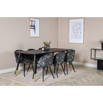 Rectangular dining set (dip, velvet)