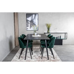 Rectangular dining set (dip, velvet)