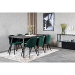 Rectangular dining set (dip, velvet)