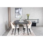 Rectangular dining set (dip, velvet)