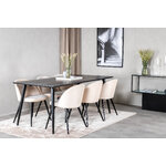 Rectangular dining set (dip, velvet)