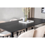 Rectangular dining set (dip, velvet)