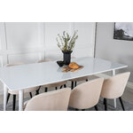 Rectangular dining set (polar, velvet)