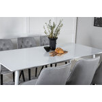 Rectangular dining set (polar, velvet deluxe)