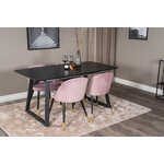 Rectangular dining set (inca, velvet)