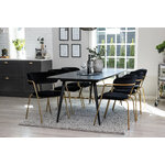 Rectangular dining set (gold, arrow)