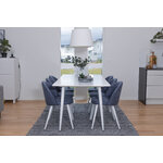 Rectangular dining set (polar, velvet)