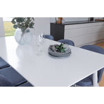 Rectangular dining set (polar, velvet)