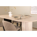 Oval dining set (bianca, velvet)