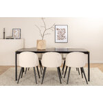 Rectangular dining set (pelle, velvet)