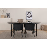 Oval dining set (skate, berit)