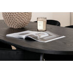 Oval dining set (skate, berit)