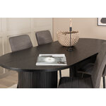 Oval dining set (bianca, windu)