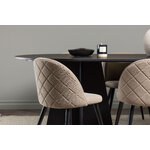 Rectangular dining set (bootcut oval, velvet)