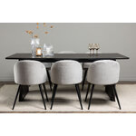 Rectangular dining set (vail, velvet)