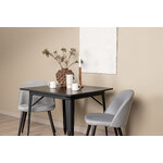 Rectangular dining set (tempe, velvet)