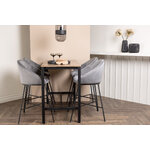 Rectangular dining set (camden, velvet)