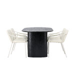 Oval dining set (twist)