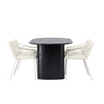 Oval dining set (twist)