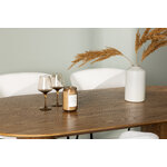 Oval dining set (day)