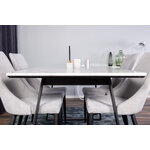 Rectangular dining set (estelle, leone)