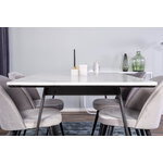 Rectangular dining set (estelle, velvet)