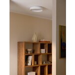 White LED Ceiling Light (Helen)