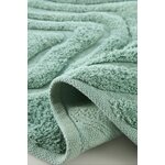 Vannas istabas paklājs (Strandängen) 60x90